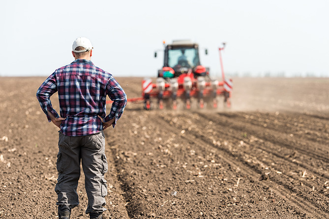 Lavoratore agricolo stagionale di spalle alle prese con la semina della terra subito dopo aver ripreso a lavorare dopo un periodo di disoccupazione agricola